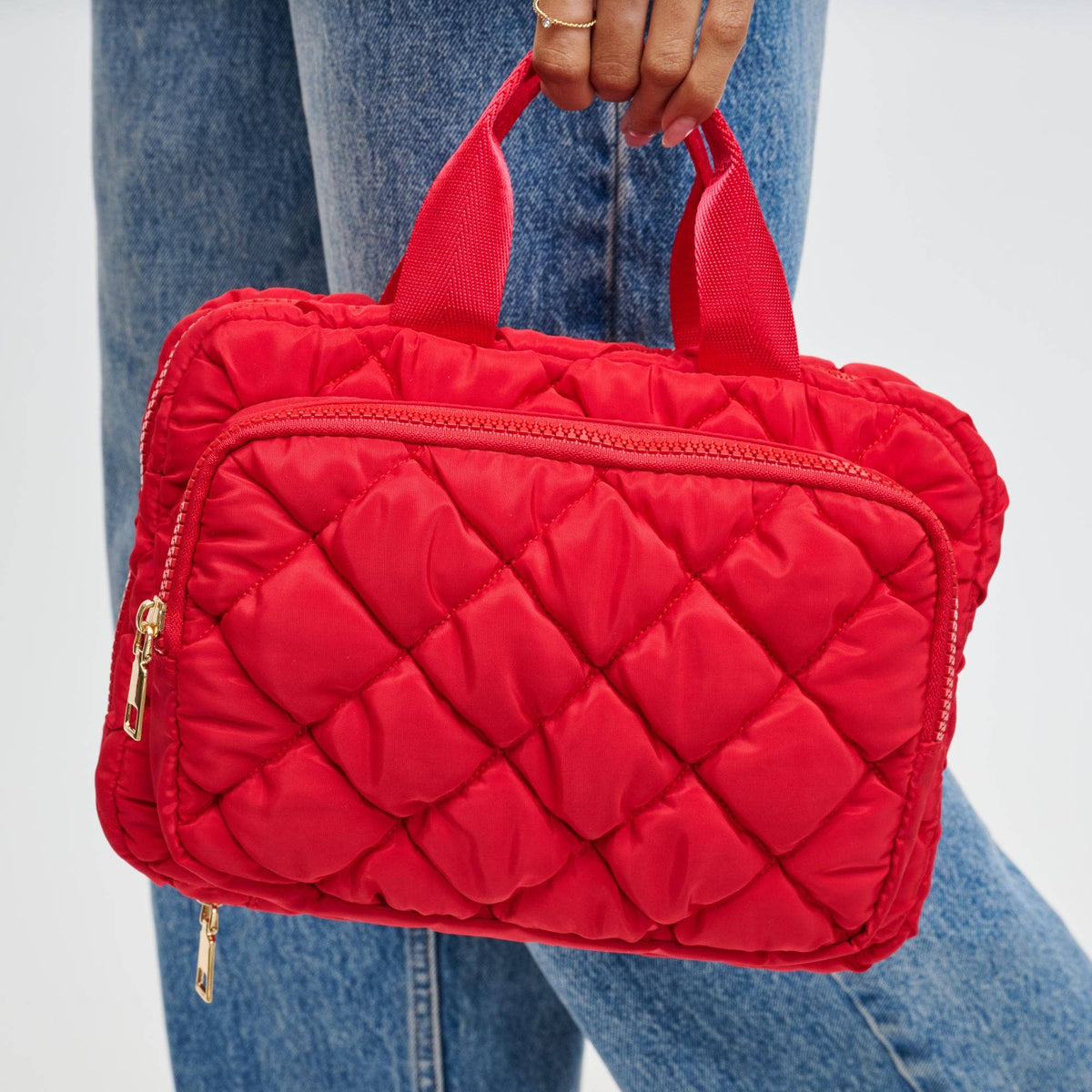Cloud Cruiser v2 Travel Organizer