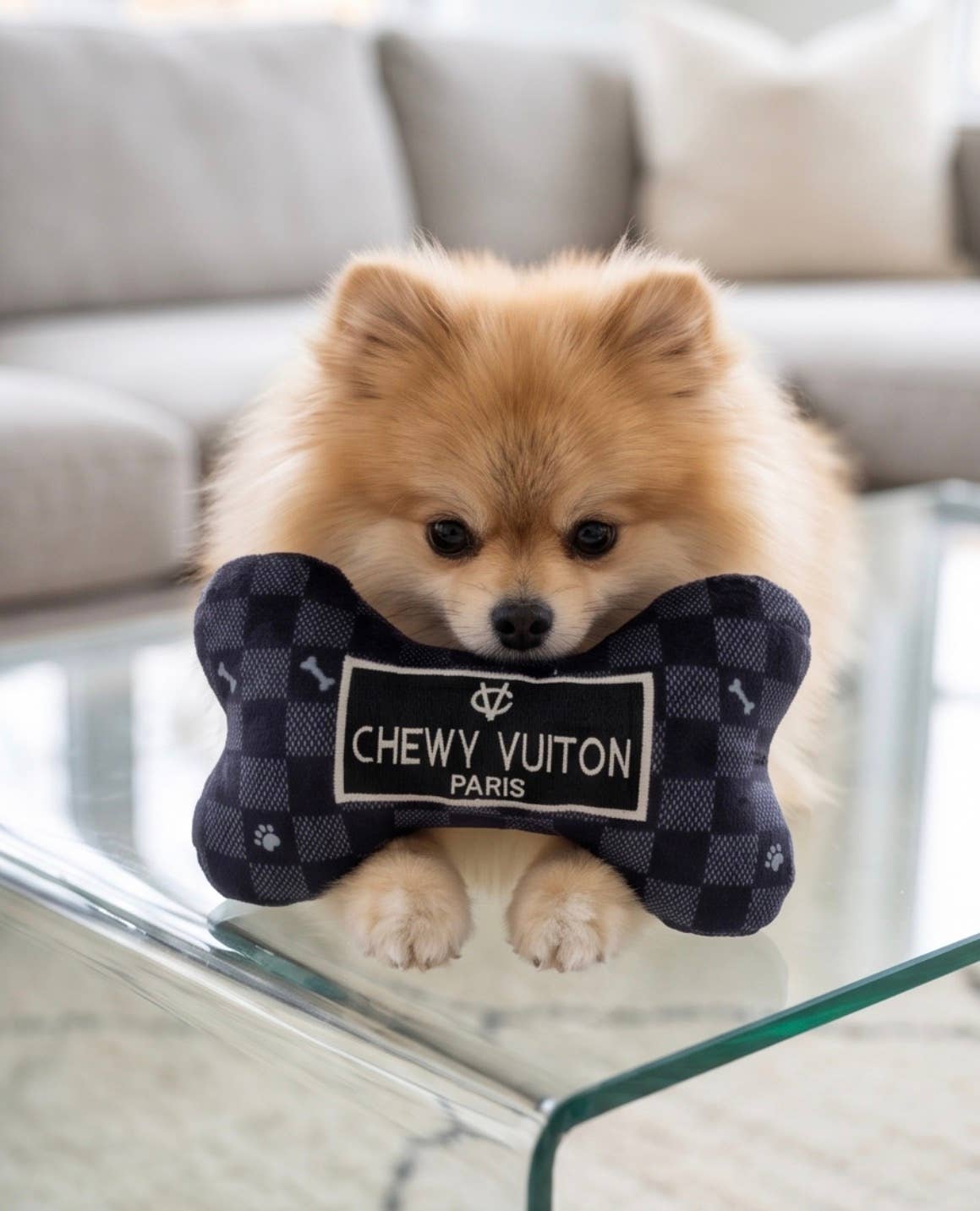 Black Checker Chewy Vuiton Bone  | Squeaker Dog Toy